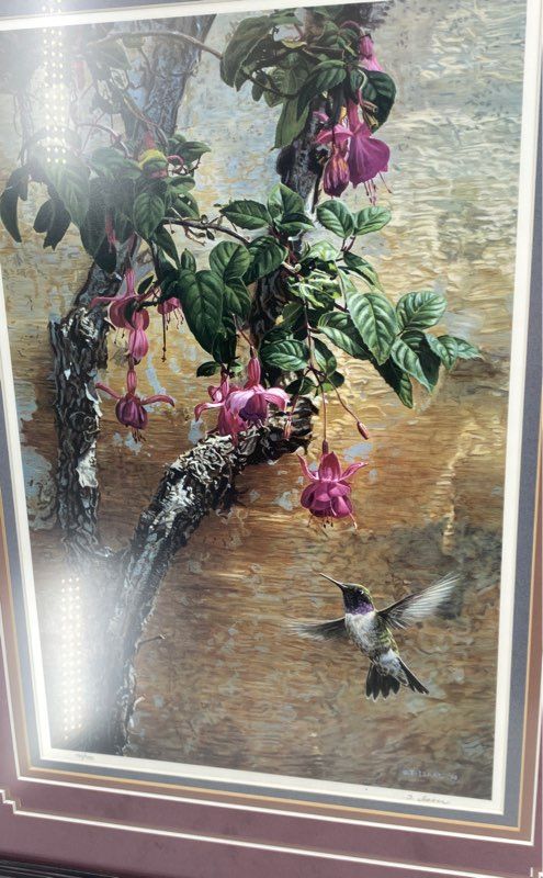 Terry Isaac Mission Wall Black Chinned Hummingbird Framed & Matted Print 483/950