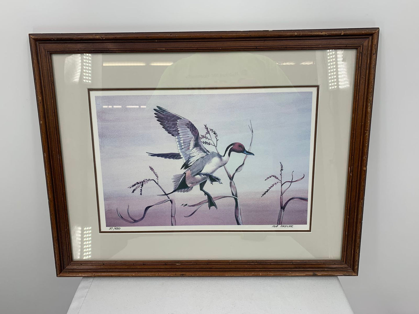 Rob Sadler Framed & Matted Duck Artwork Art Print Numbered 57/450